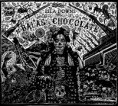 /album/foto-galeria-de-acocoxochitl/lila-downs-arte-jpg/